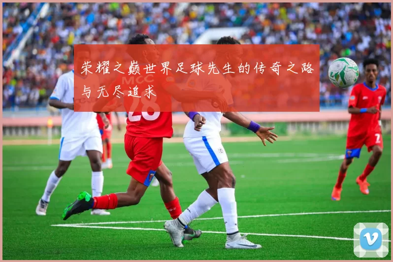 荣耀之巅世界足球先生的传奇之路与无尽追求