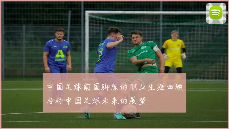 中国足球前国脚陈的职业生涯回顾与对中国足球未来的展望